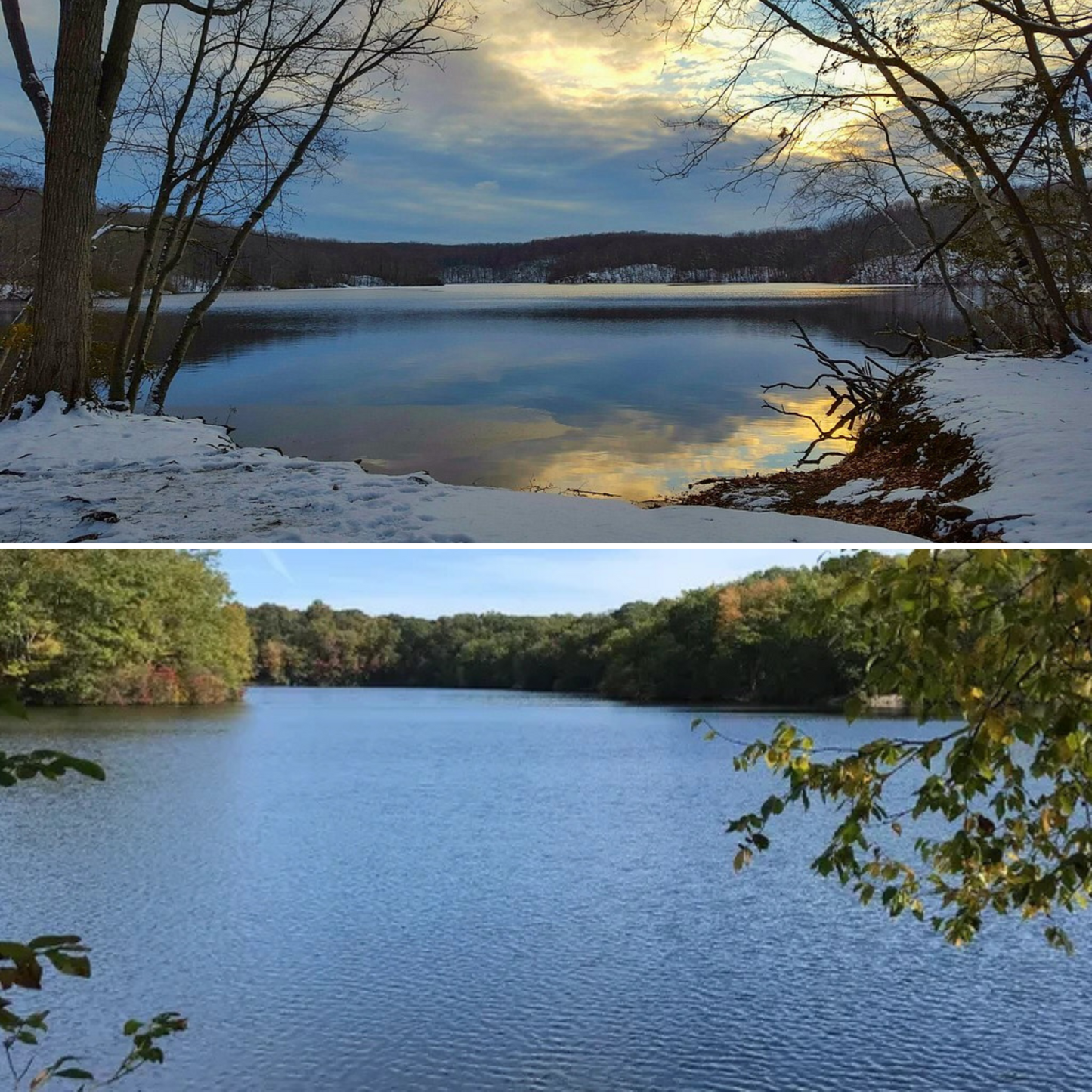 yoga connecticut cold plunge