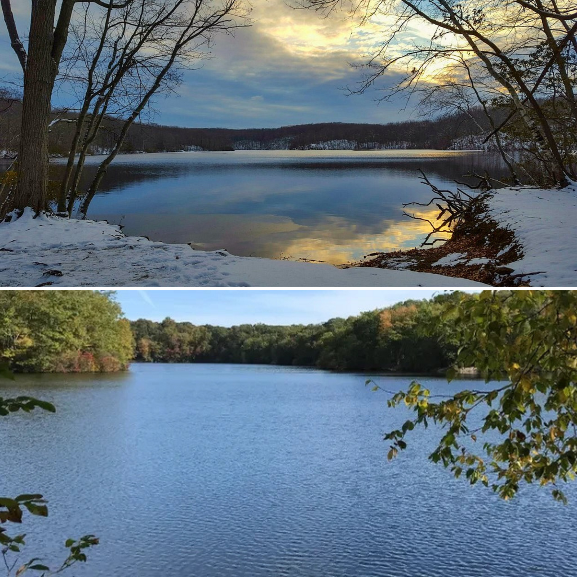 yoga connecticut cold plunge